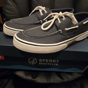 Sperry Men's Navy Boat Shoes